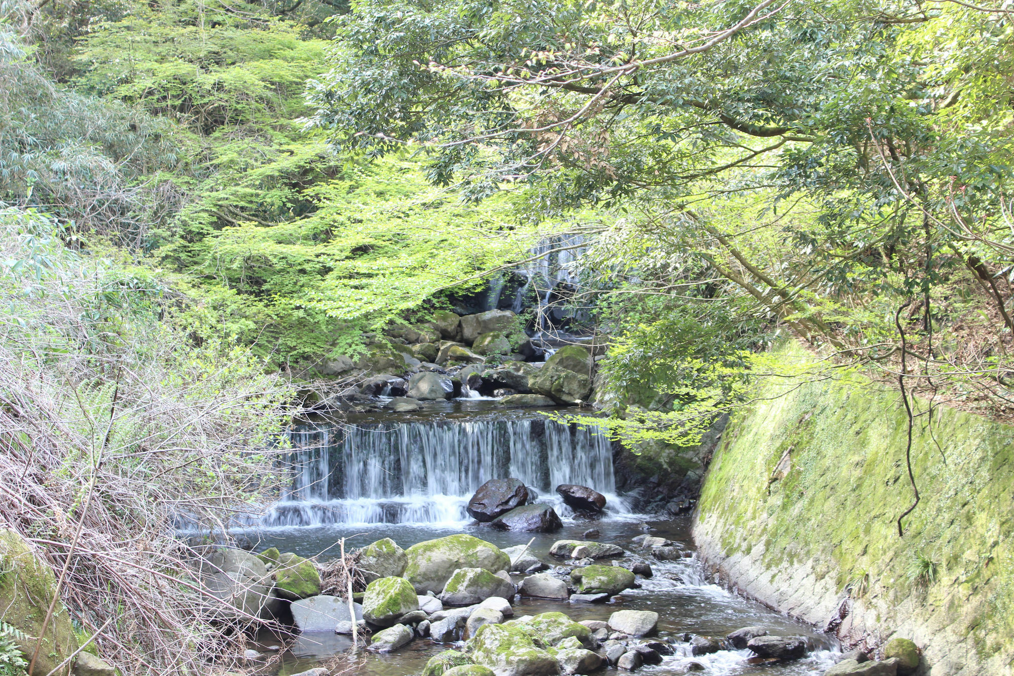 Hakone Guesthouse Toi Exterior photo